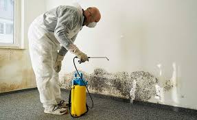 Reliable St Augustine Beach, FL Mold Prevention & Removal  Solutions